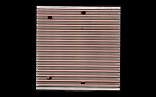 準確簡單測量表面積的方法